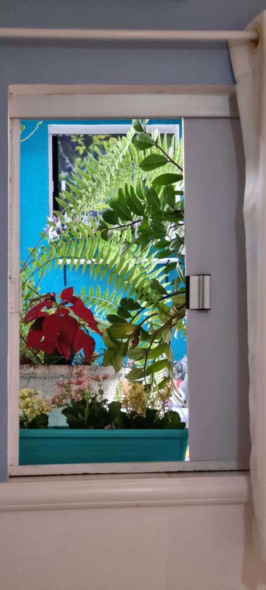 Pousada Recanto Da Familia 纳塔耳 外观 照片